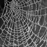 Spider web - Frame