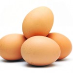 Eggs - Shell